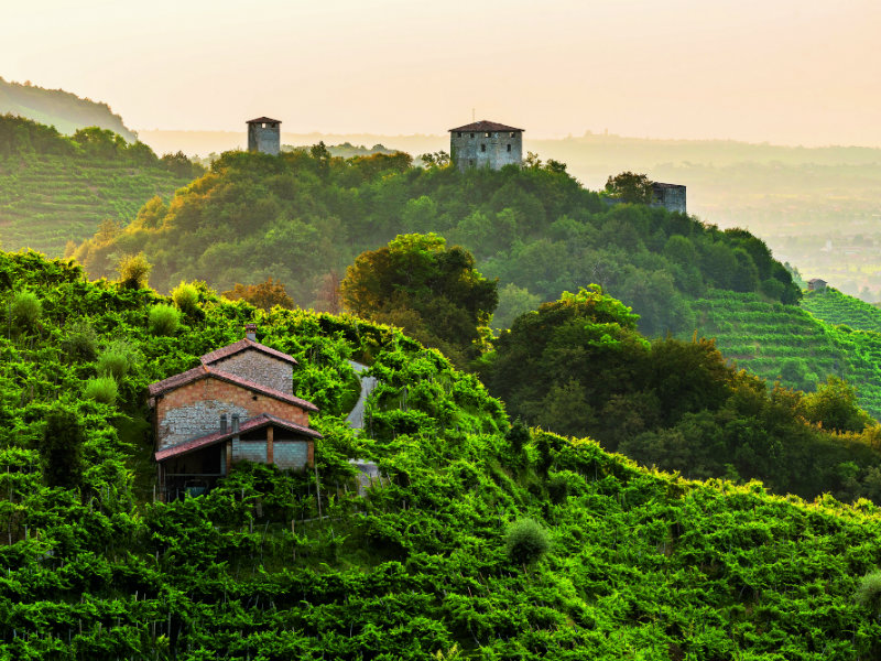 FOTO%20Consorzio%20Tutela%20del%20Vino%20Conegliano%20Valdobbiadene%20Prosecco%20Superiore%20Docg