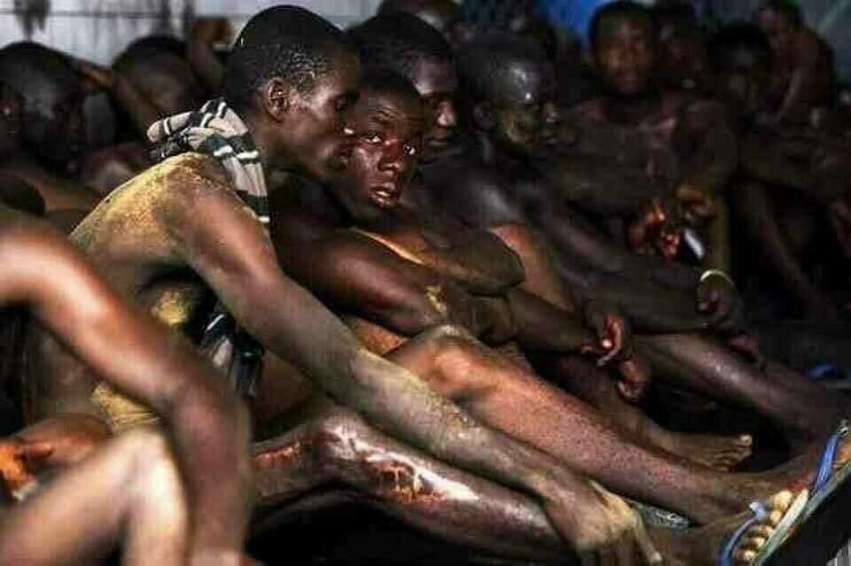 robovi