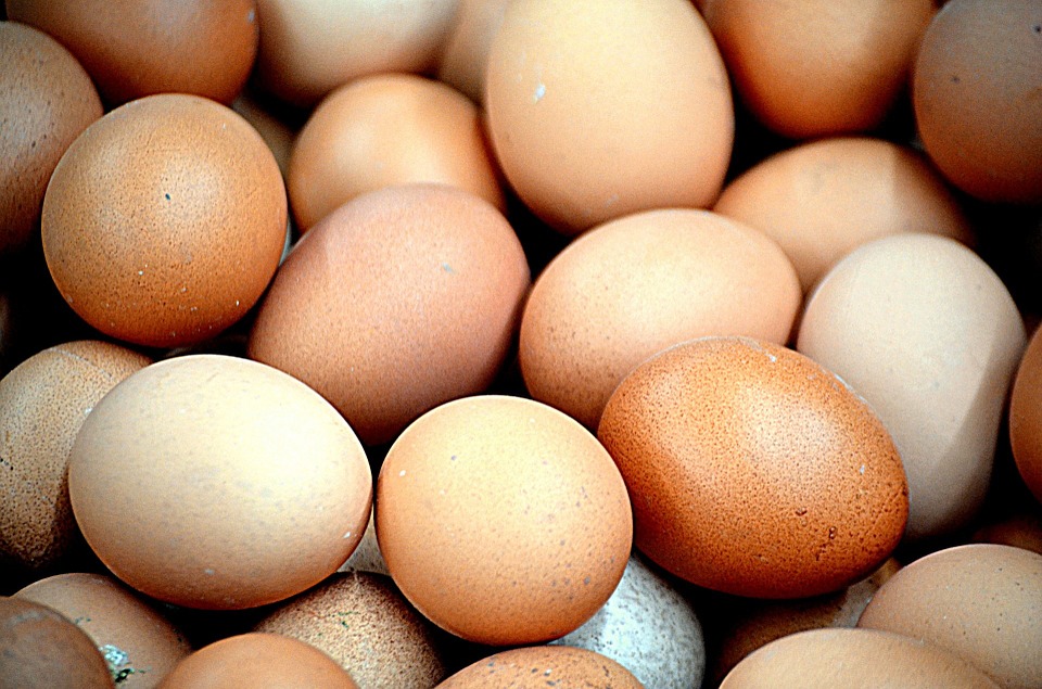 Reagovanje RZS: Pad proizvodnje jaja nije bio 40 osto