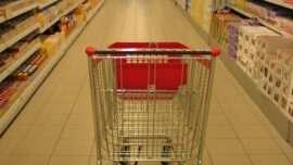 Minimalcem možemo da kupimo minimalnu potrošačku korpu iz 2021, sa penzijom onu iz 2019. godine