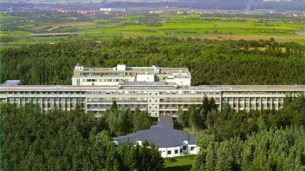 Institut za kardiovaskularne bolesti u Sremskoj Kamenici