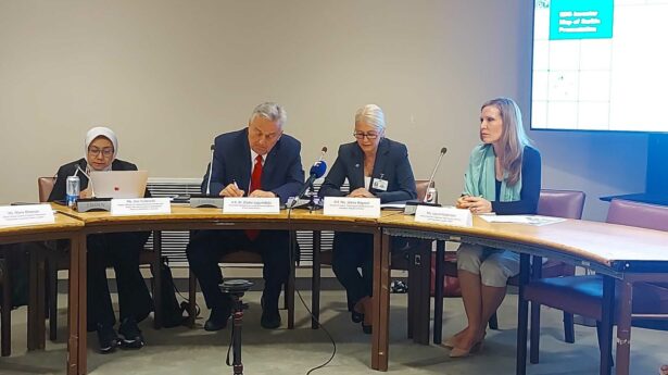 U UN predstavljena Mapa investicionih prilika