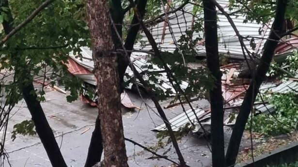 Nevreme, šteta, saniranje posledica