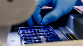 laboratorijska analiza