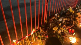 Železnička stanica Novi Sad, tragedija, nadstrešnica