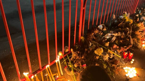 Železnička stanica Novi Sad, tragedija, nadstrešnica