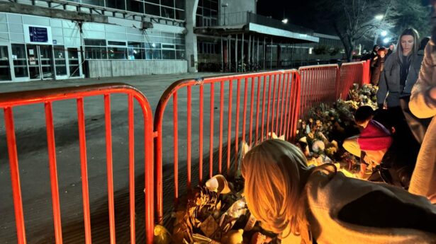 Železnička stanica Novi Sad, tragedija, nadstrešnica