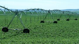 sistem za navodnjavanje na njivi