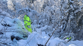 EDS, mreža, napajanje, struja, sneg