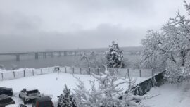 Sneg u Zemunu, foto: Nova Ekonomija