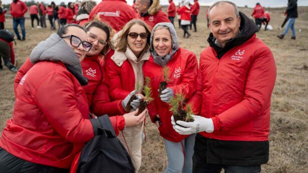 Wiener Städtische: Nemanja Janić